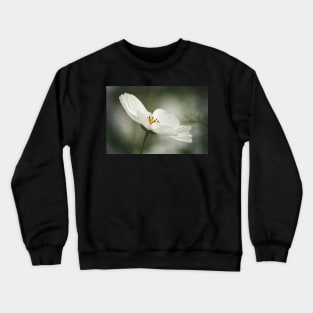 Textured Cosmos Crewneck Sweatshirt